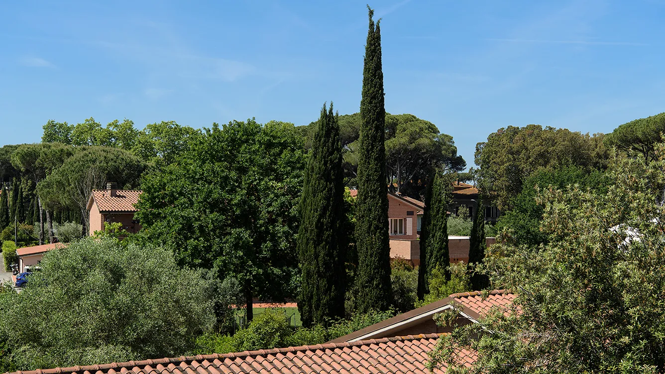 rta-carosello-_DSC2023
